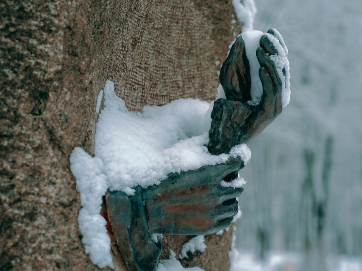 За сутки в Туле выпало 12 миллиметров снега