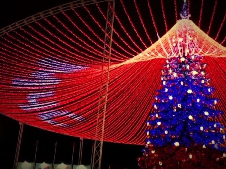 Тульскую ёлку из книги рекордов РФ подсветили в честь юбилея МЧС