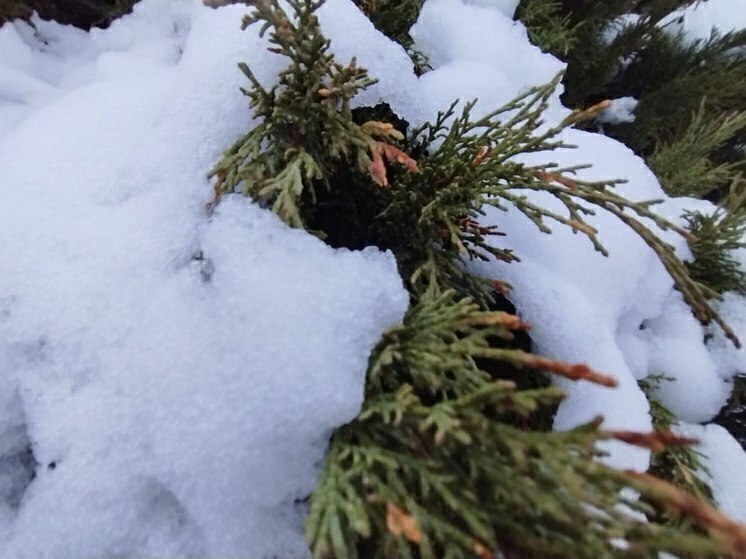В Белгородской области выпадет небольшой снег в воскресенье