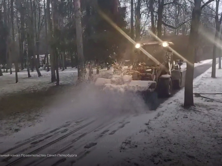 Тысяча рабочих и сотни машин вышли на улицы Петербурга из-за оттепели