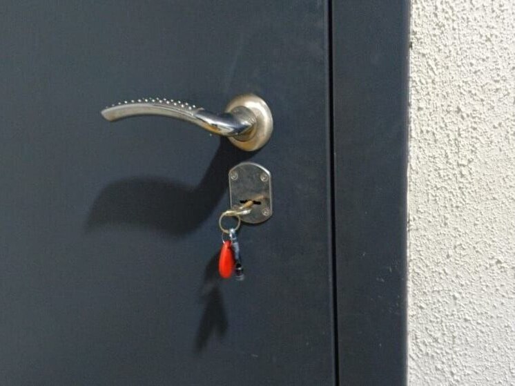 Видеокамера зафиксировала: дело о квартире Ларисы Долиной близится к развязке