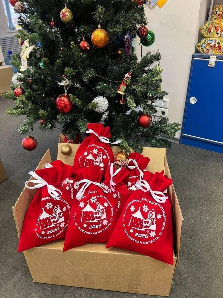 Почти 1700 новогодних подарков отправлено Псковской областью детям из подшефных районов Херсонской области