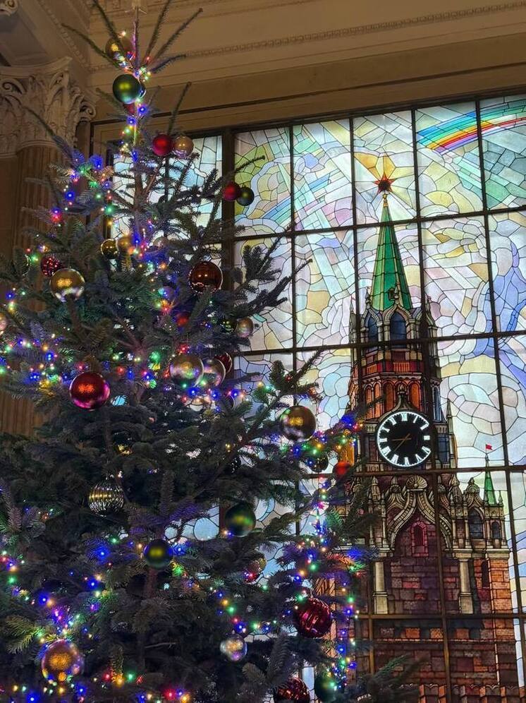 Новогоднее обращение Посла России в Германии С. Ю. Нечаева