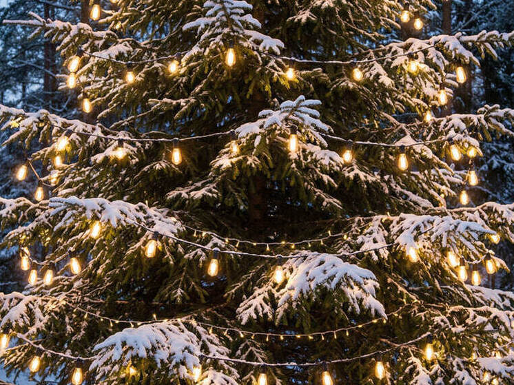 В Воронеже мошенники продают поддельные елки по низким ценам