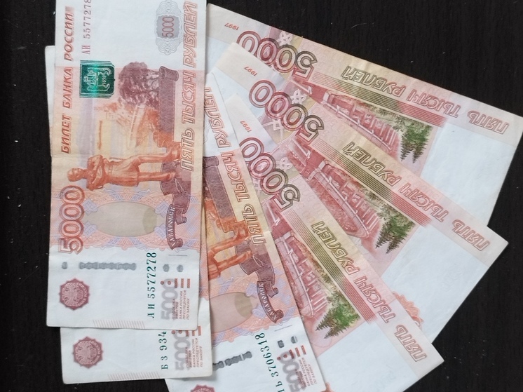 Новгородец испугался принудительных работ, погасив долг по алиментам в 130 тысяч рублей