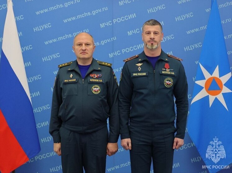 Глава МЧС вручил государственную награду сотруднику из Херсонской области