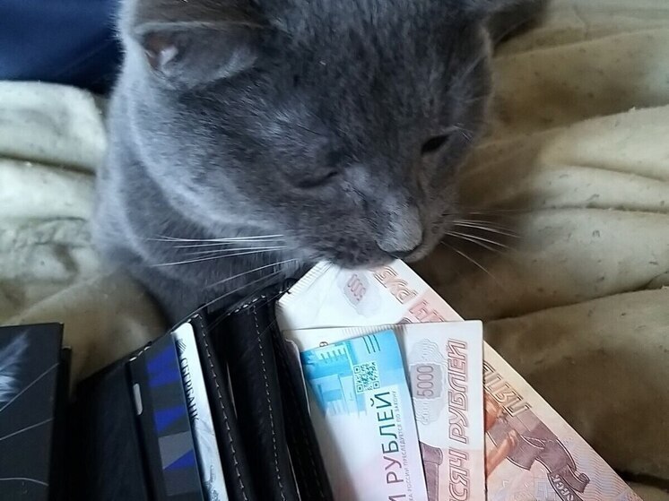 Средняя зарплата в Калининградской области выросла до 78 тысяч