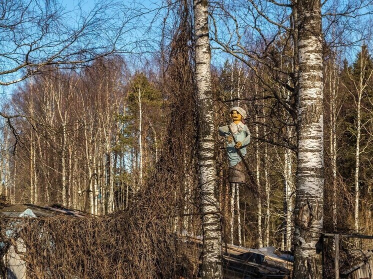 Фотограф Илья Тимин встретил реальную Бабу-Ягу в карельском лесу