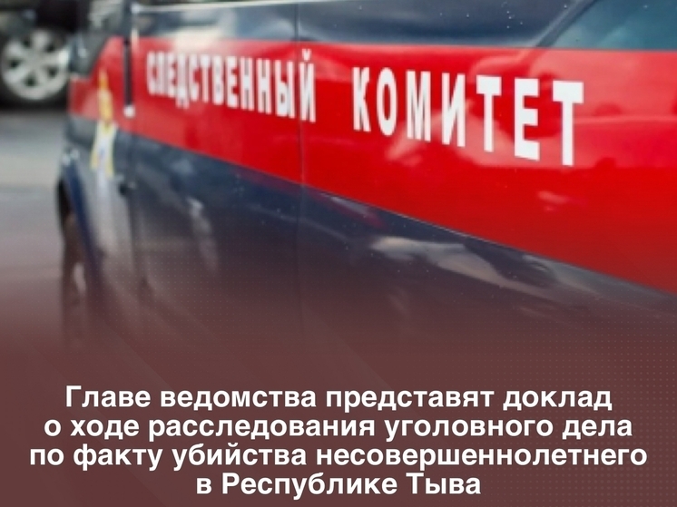 В Туве расследуют  уголовное дело по факту убийства подростка на территории школы
