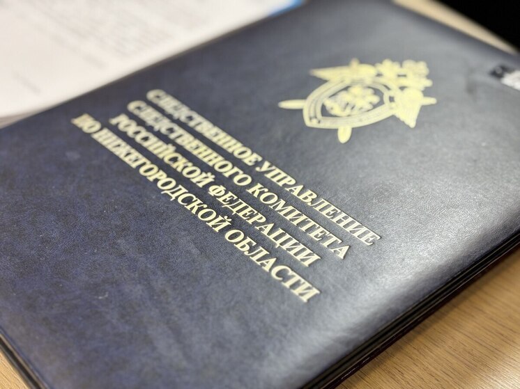 Бастрыкин взял под контроль вырубку деревьев в нижегородской деревне