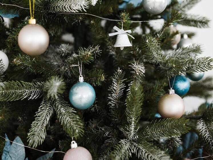 Ученики Новотроицкой школы стали свидетелями новогоднего чуда