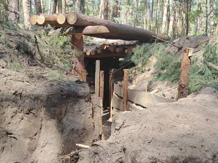 Балицкий: освобожденный Гуляйполе придется восстанавливать и очищать от оккупации