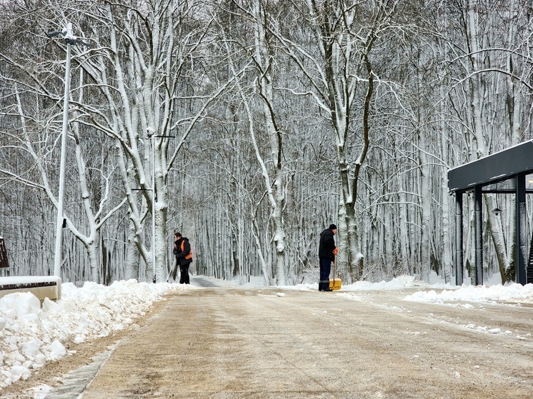 Дворники и техника в Пущино готовы к любым снегопадам