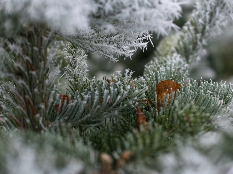 Небольшой снег и морозы до -22 °C ожидают томичей 28 декабря