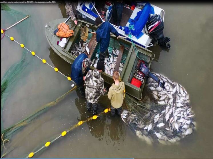 В Томской области определили рекордные объемы рыбного промысла на 2026 год.