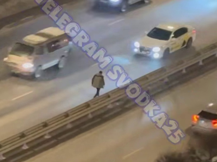 Владивостокский боевик: пьяный водитель спрыгнул с моста, убегая от ДПС