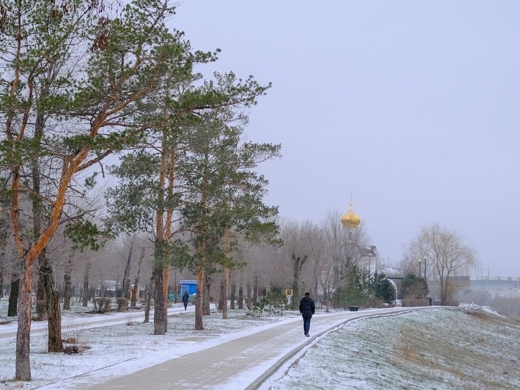 В Волгоградской области 28 декабря синоптики обещают снег и до -5 ℃