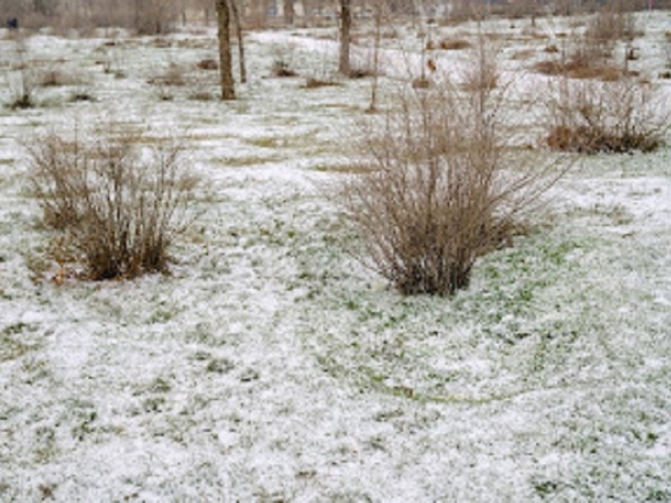 В Астраханской области 28 декабря будет облачно и до +1 ℃