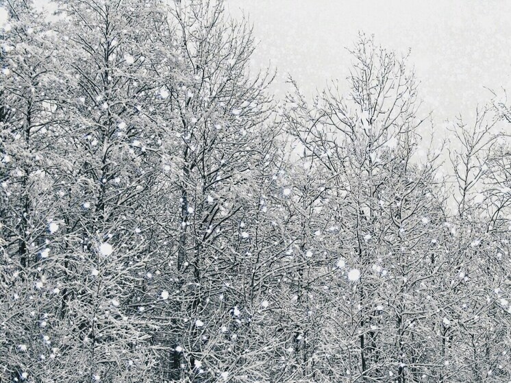 В Бурятии завтра ожидается переменная облачность и небольшой снег