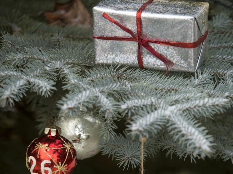 Россиянам рассказали, как поздравить начальство с Рождеством, не нарушая правил этикета