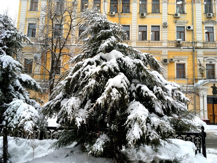 В Саратове днем будет относительно тепло