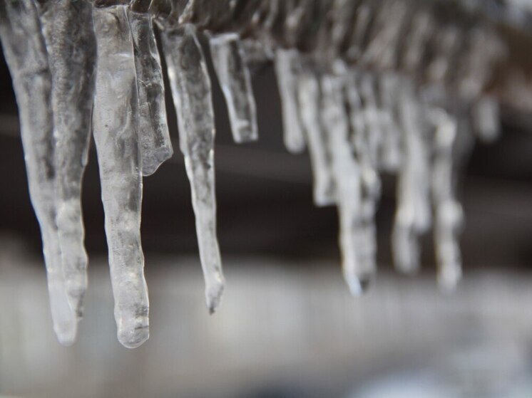 Финальная оттепель года покинет Петербург 28 декабря