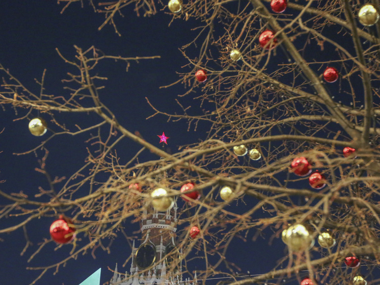 Российским мужчинам напомнили о правилах выбора подарка жене на Рождество