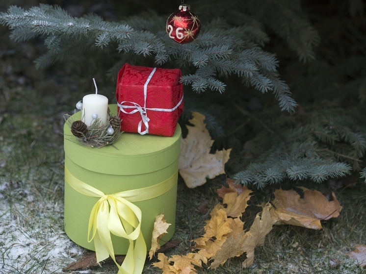 Что подарить ребёнку на Рождество: идеи с учётом возраста и пола