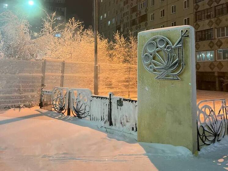 Погода в Карелии на 28 декабря: снег и метель