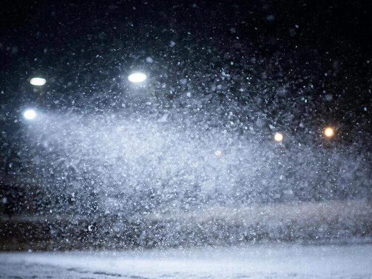 Опасаться резкого ветра советуют псковичам