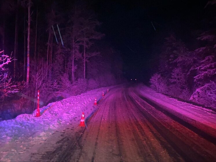 В Парфинском округе автомобиль скатился в кювет, пострадала 14-летняя девочка