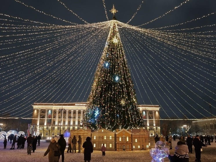 Новгородский «Горхоз» опроверг информацию о возгорании гирлянды на главной елке