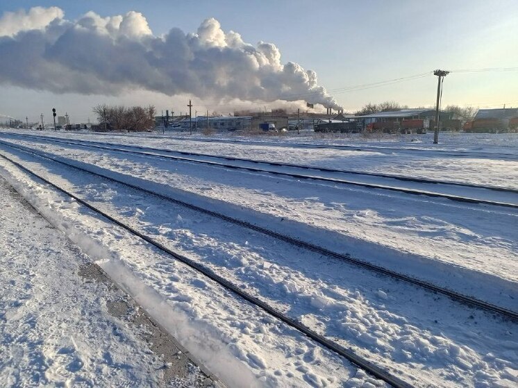 Грузовой поезд насмерть сбил пенсионерку в Алтайском крае