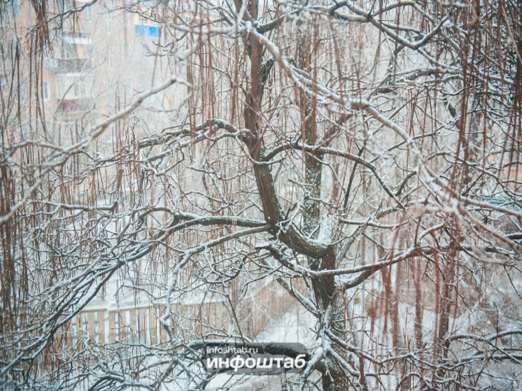 Рождество — один из самых любимых и ожидаемых праздников на планете