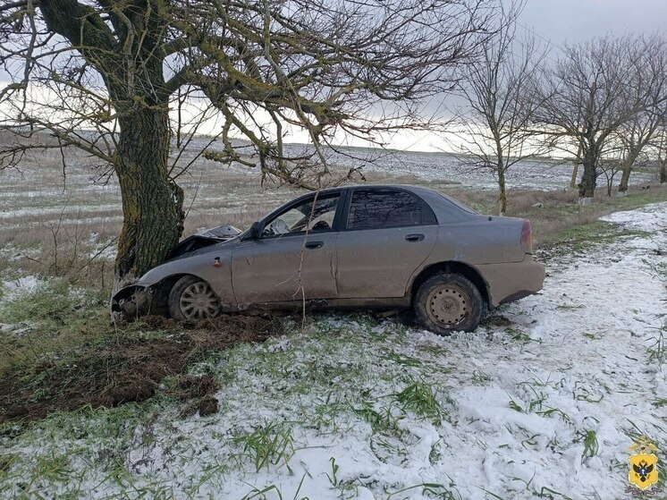 В Горностаевском округе лишенный прав водитель врезался в дерево