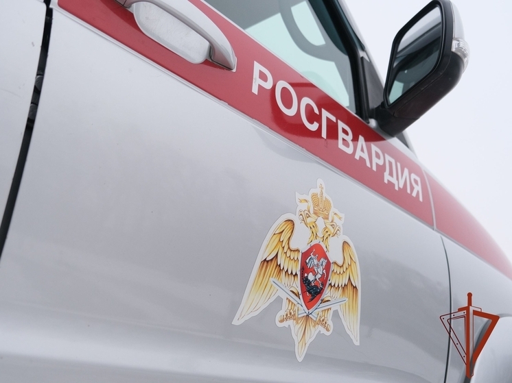 Сотрудники Росгвардии задержали в Абакане подозреваемого в двойной краже
