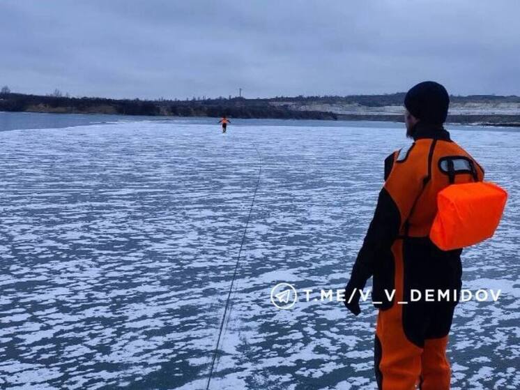 В Белгороде спасатели вызволили лебедя из ледяного плена