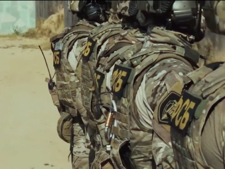 В ДНР задержали троих украинских диверсантов