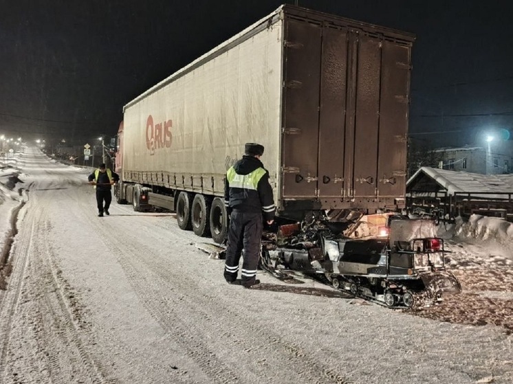 Человек погиб в ДТП со снегоходом в Нижних Сергах