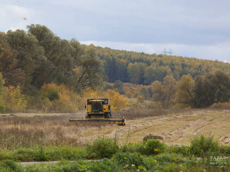 Объем произведенной в Татарстане сельхозпродукции вырос на 7 процентов