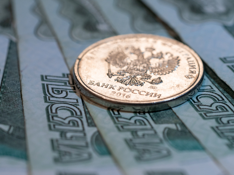 Депутат Госдумы рассказал куда вкладывать 13-ю зарплату