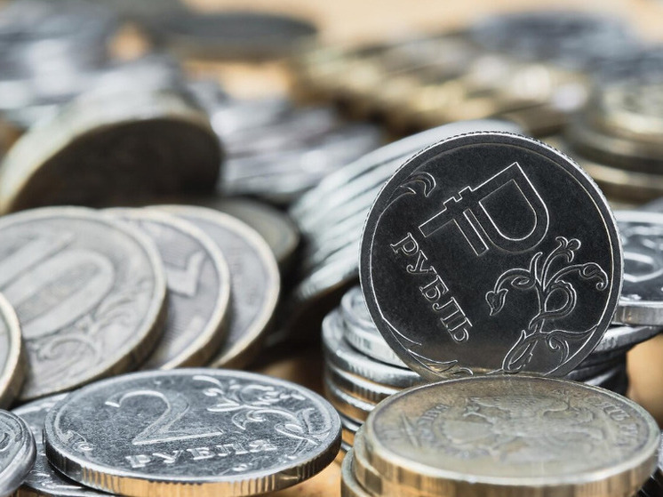 Жители Новосибирской области сдали рекордные 13 тонн монет за год