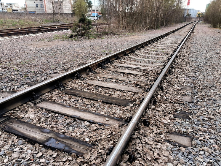 Сход грузового локомотива нарушил движение поездов в Ростове-на-Дону