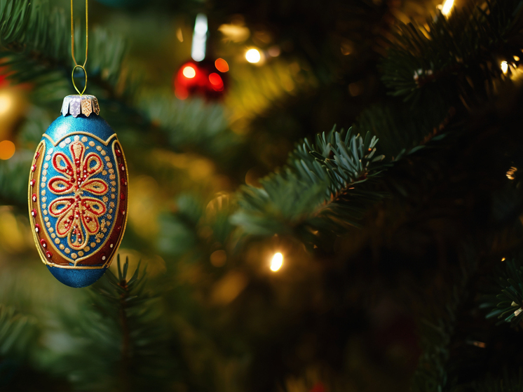 Как сохранить бодрость и здоровье в праздничные дни: советы для жителей Запорожской области