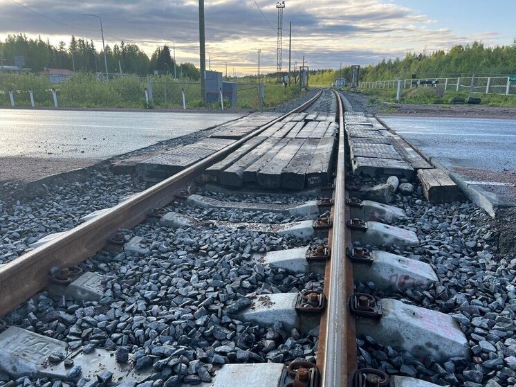 В Петрозаводске начнут строить военный городок между Кукковкой и Ключевой