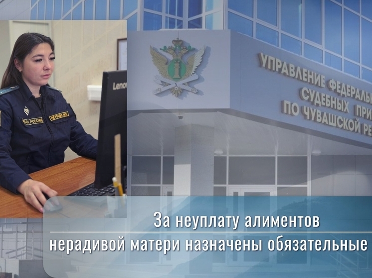 Мать из Чувашии отправили на обязательные работы за неуплату алиментов