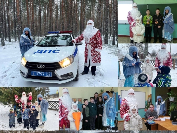 Дед Мороз напомнил водителям о безопасности на дорогах