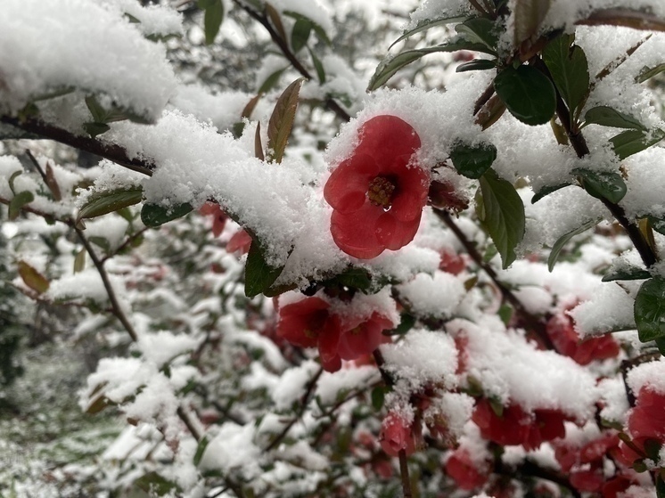 В Крыму ожидаются сильный гололед и штормовой ветер