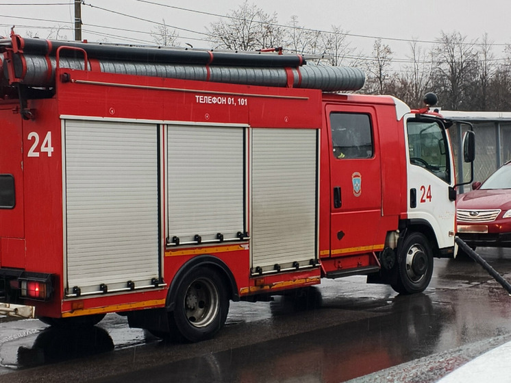 Новгородские пожарные потушили 27 декабря сарай и мусор