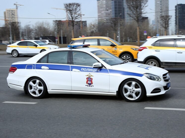 Калужская полиция назвала график приёма мигрантов на Новый год